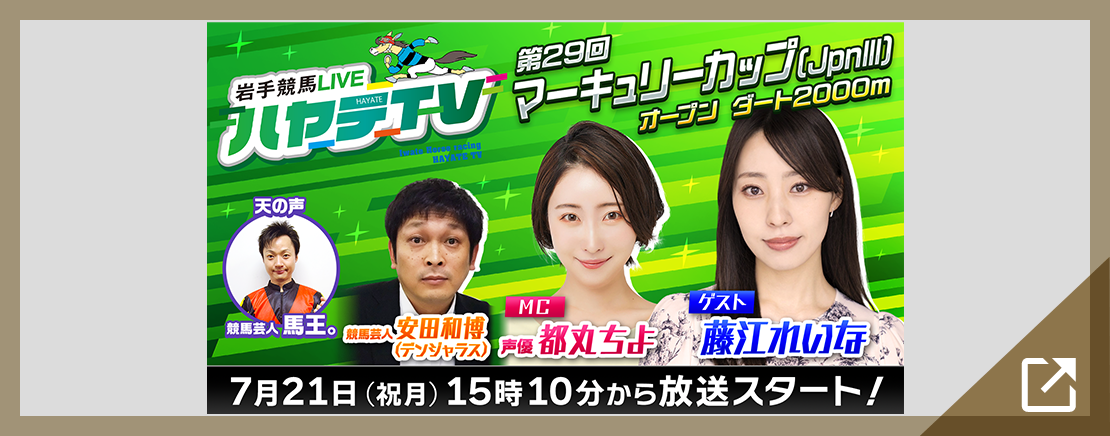 ハヤテTV