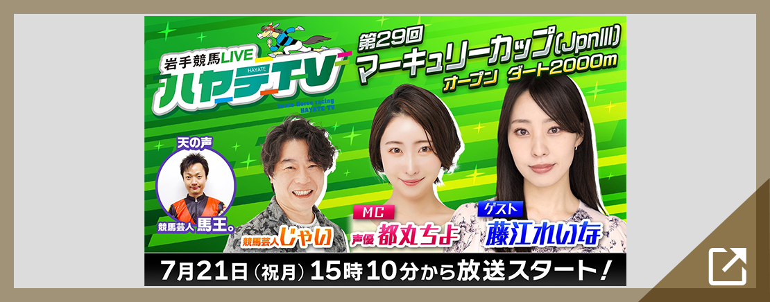 ハヤテTV