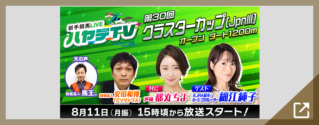 ハヤテTV