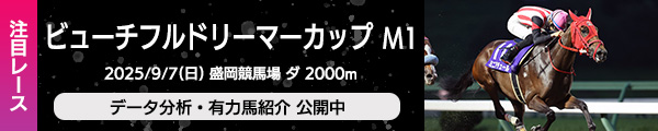 注目レース
